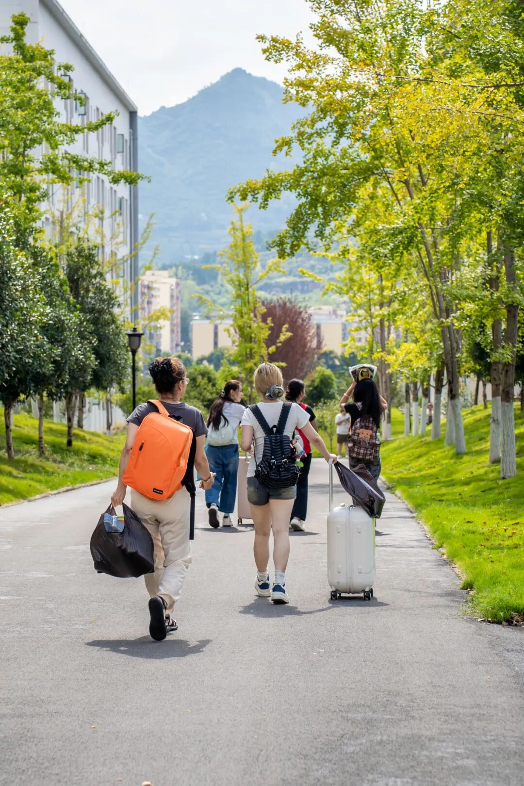 初秋相遇  满“新”欢喜丨直击2025级新生报到现场(图24)